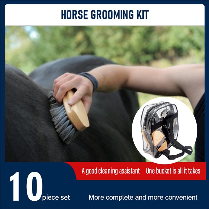 Dropship-For Horse Grooming Ki - Grooming Kit Horse 评论和价格