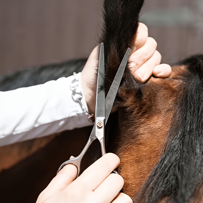 Horse Grooming Tool Set Stainl - Grooming Kit Horse 评论和价格