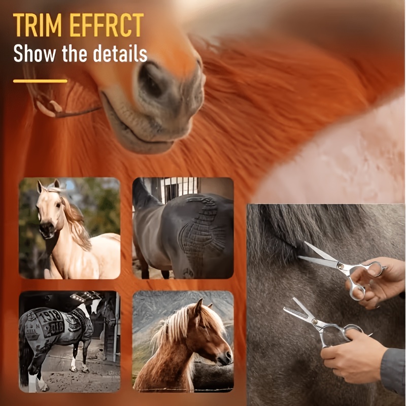 Horse Grooming Tool Set Stainl - Grooming Kit Horse 评论和价格