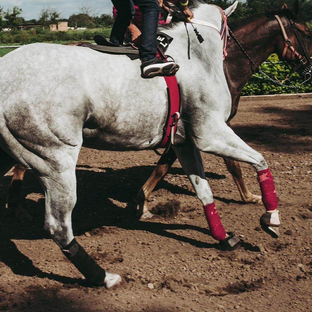 2/4Pcs Set Breathable Horse Le - Grooming Kit Horse 评论和价格