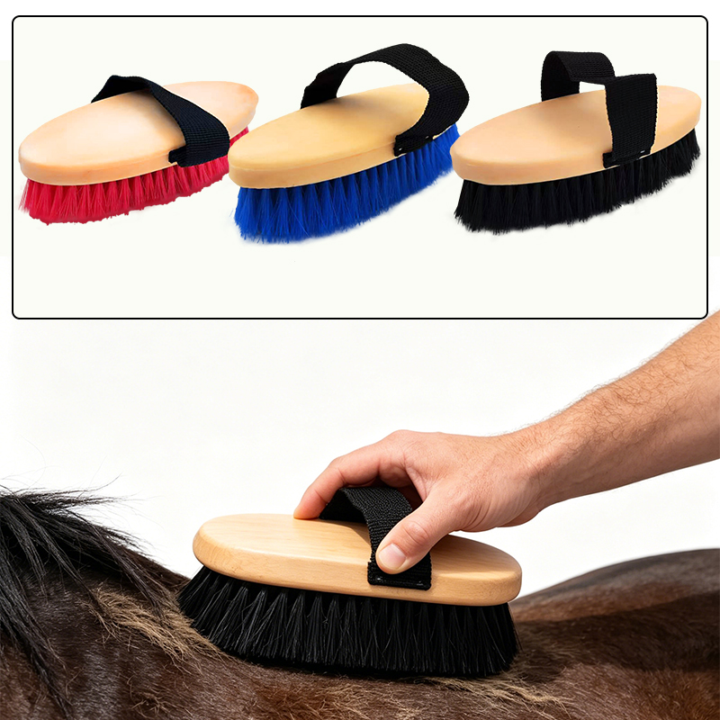 Elliptical Horse Grooming Curr - Grooming Kit Horse 评论和价格