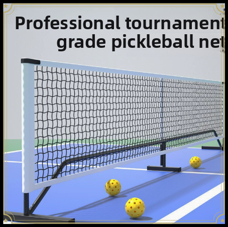 Portable Professional Pickleba - Outdoor Sports Net 评论和价格