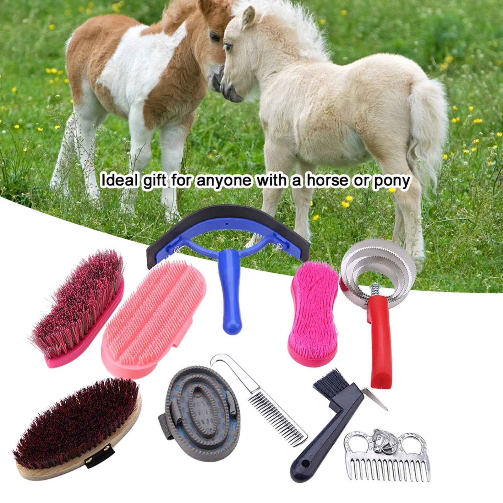 10Pcs Horse Grooming Care Kit  - Grooming Kit Horse 评论和价格