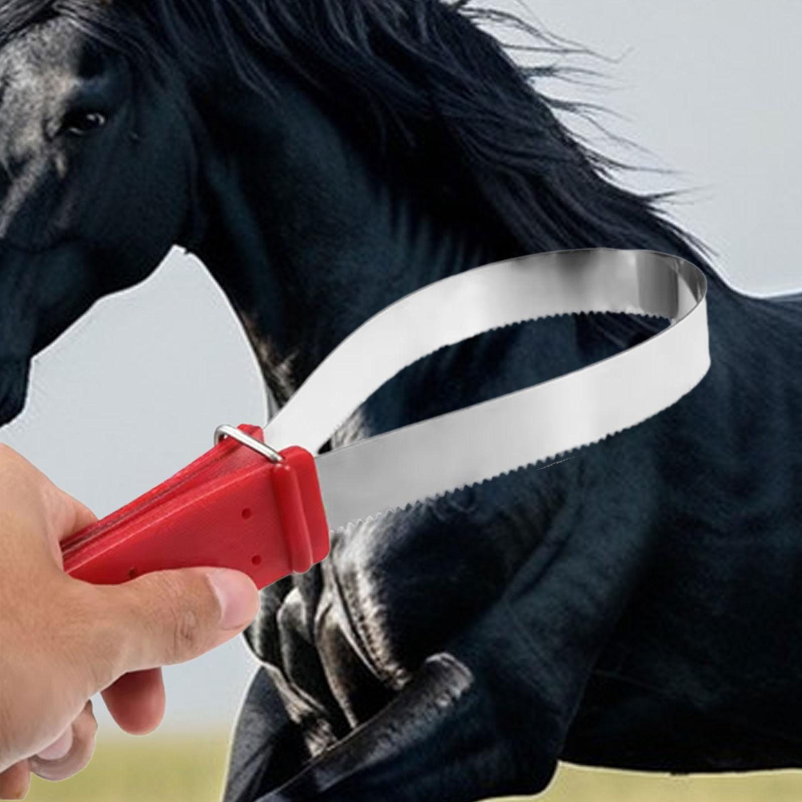 Practical Horse Hair Cleaning  - Grooming Kit Horse 评论和价格
