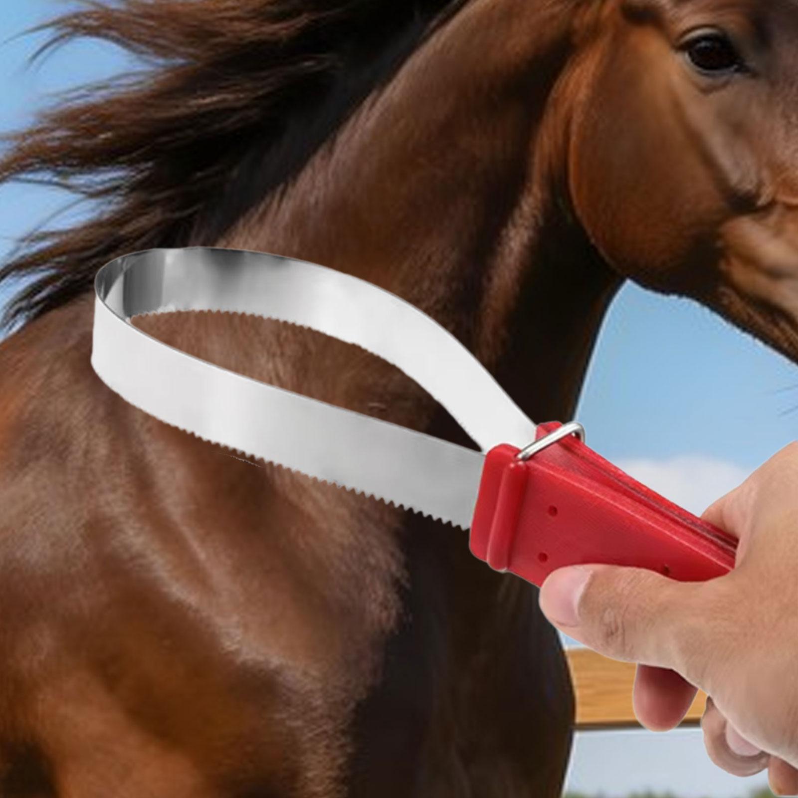 Practical Horse Hair Cleaning  - Grooming Kit Horse 评论和价格